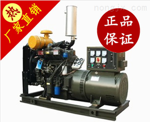 北京汽油發(fā)電機|廣州汽油發(fā)電機|重慶汽油發(fā)電機-上海罕莎實業(yè)