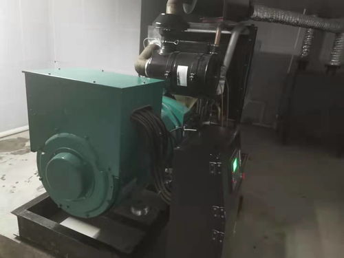 天河康明斯發(fā)電機(jī)維修,廣州天河發(fā)電機(jī)保養(yǎng)業(yè)務(wù),天河維修柴油發(fā)電機(jī)多少錢(qián) 新聞快訊tad520ge